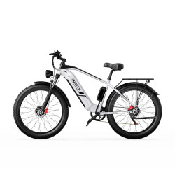 Електрически Фетбайк DUOTTS QBF26 – 1500W, 48V 20Ah, 55 км/ч