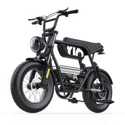 COSWHEEL Y16 –  Електрически градски фетбайк 1000W | 48V 15Ah