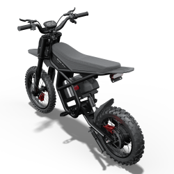 GT54PRO Riding Times електрически мотор 3000W – 60V/25Ah, 65 km/h, сертификат