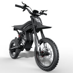 GT54PRO Riding Times електрически мотор 3000W – 60V/25Ah, 65 km/h, сертификат