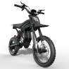 GT54PRO Riding Times електрически мотор 3000W – 60V/25Ah, 65 km/h, сертификат