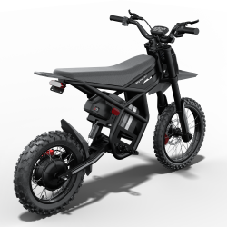 GT54PRO Riding Times електрически мотор 3000W – 60V/25Ah, 65 km/h, сертификат