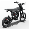 GT54PRO Riding Times електрически мотор 3000W – 60V/25Ah, 65 km/h, сертификат