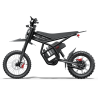 GT54PRO Riding Times електрически мотор 3000W – 60V/25Ah, 65 km/h, сертификат