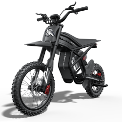 GT54PRO Riding Times електрически мотор 3000W – 60V/25Ah, 65 km/h, сертификат