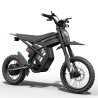 GT54PRO Riding Times електрически мотор 3000W – 60V/25Ah, 65 km/h, сертификат
