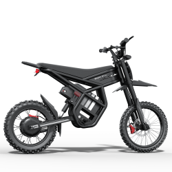 GT54PRO Riding Times електрически мотор 3000W – 60V/25Ah, 65 km/h, сертификат