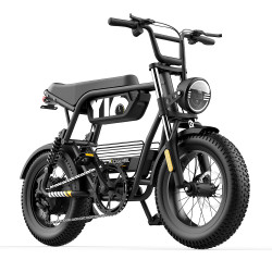 COSWHEEL Y16 750W електрически велосипед 16 инча Fat Tire