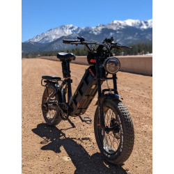 Електрически велосипед Eahora Juliet 1000W, 48V 60Ah, 45 km/h