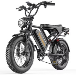Електрически велосипед BK20 750W 48V 20Ah с пробег до 80 км