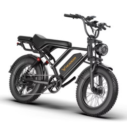 Електрически велосипед BK20 750W 48V 20Ah с пробег до 80 км
