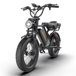 Електрически велосипед BK20 750W 48V 20Ah с пробег до 80 км