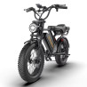 Електрически велосипед BK20 750W 48V 20Ah с пробег до 80 км