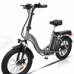 BK6S 750W Сгъваем Електрически Велосипед 45KM/H