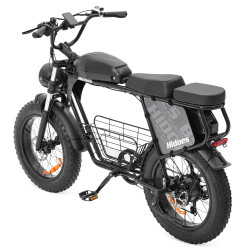 Hidoes B9 Електрически Велосипед 750W 48V 33.8Ah Fat Bike