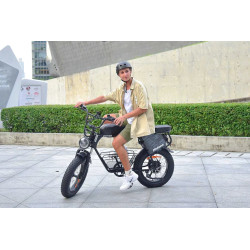 Hidoes B9 Електрически Велосипед 750W 48V 33.8Ah Fat Bike