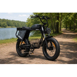 Hidoes B9 Електрически Велосипед 750W 48V 33.8Ah Fat Bike