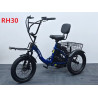 Cargo E-bike RH30 – Електрическа товарна триколка 750W