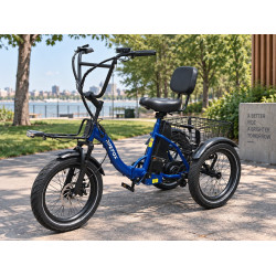 Cargo E-bike APEFOX RH30 – електрическа триколка 500W 48V 15Ah