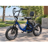 Cargo E-bike RH30 – Електрическа товарна триколка 750W
