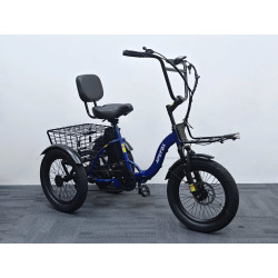 Cargo E-bike RH30 – Електрическа товарна триколка 750W