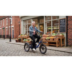 Cargo E-bike APEFOX RH30 – електрическа триколка 500W 48V 15Ah