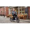 Cargo E-bike RH30 – Електрическа товарна триколка 750W
