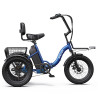 Cargo E-bike RH30 – Електрическа товарна триколка 750W