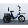 Cargo E-bike APEFOX RH30 – електрическа триколка 500W 48V 15Ah