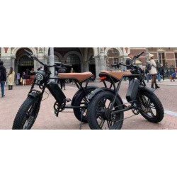 Електрически велосипед Electric V8, 750W, 15Ah – Кафяв цвят, Мощност и стил