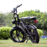 Електрически велосипед Electric V8, 750W, 15Ah – Черен цвят, Мощност и стил