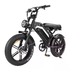Електрически велосипед Electric V20, 500W, 15Ah с двойна седалка – Комфорт и стил за двама