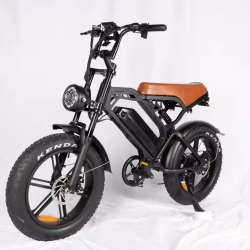 Електрически велосипед Electric V20, 500W, 15Ah с двойна седалка – Комфорт и стил за двама