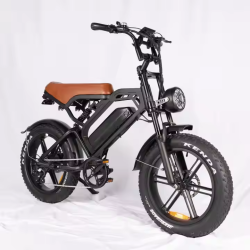 Електрически велосипед Electric V20, 500W, 15Ah с двойна седалка – Комфорт и стил за двама