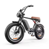Електрически велосипед HB-20PLUS, 1000W, 18Ah/48V – Сила и комфорт