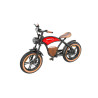 Електрически велосипед Hidoes B10 1000W, 13Ah/48V, 20" – Компактен и Мощен