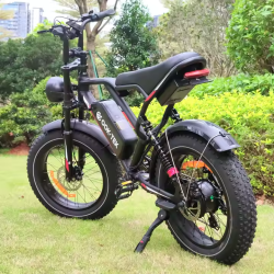 Ретро електрически Fat Bike 1000W – Перфектен за град и офроуд