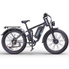 Ridstar E26 Pro – Електрически велосипед 1000W, 48V 23Ah, 26" Fat гуми, пълно окачване