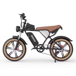 Ridstar Q20-Luxe – Електрически велосипед 1000W, 48V 20Ah, 20" Fat гуми, Маслени спирачки